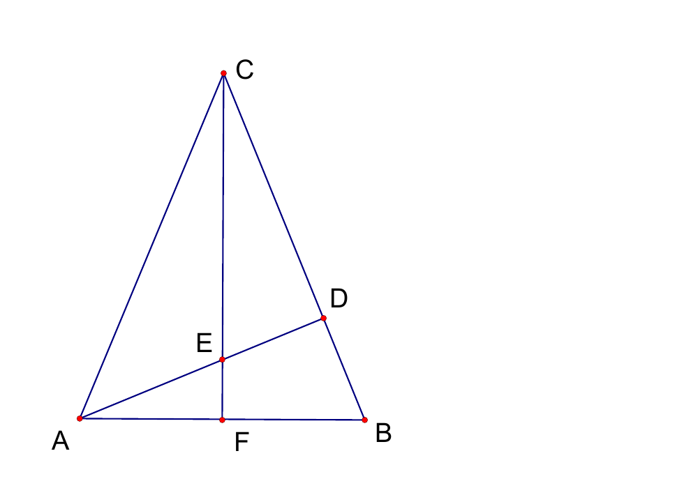 Službena geometrijska skica