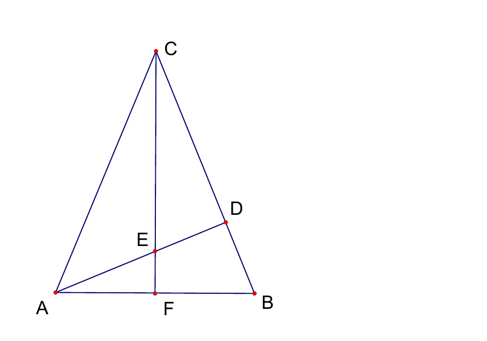 Službena geometrijska skica