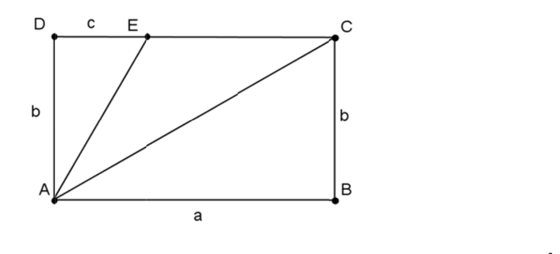 Službena geometrijska skica